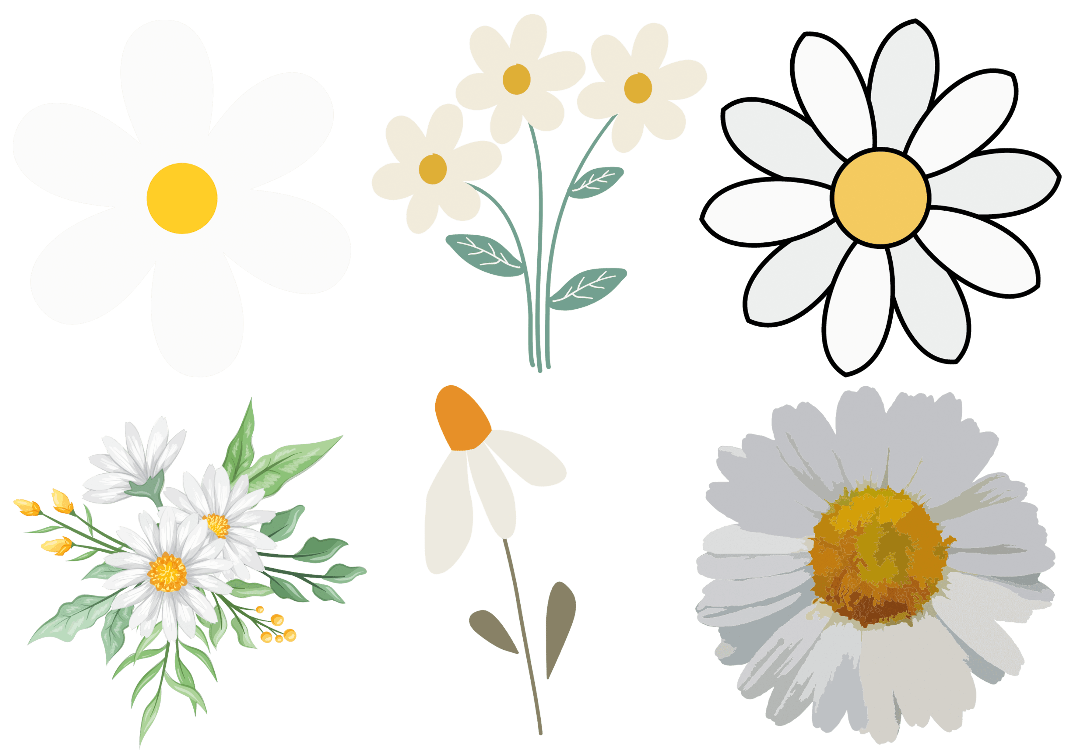 DISEÑO 60