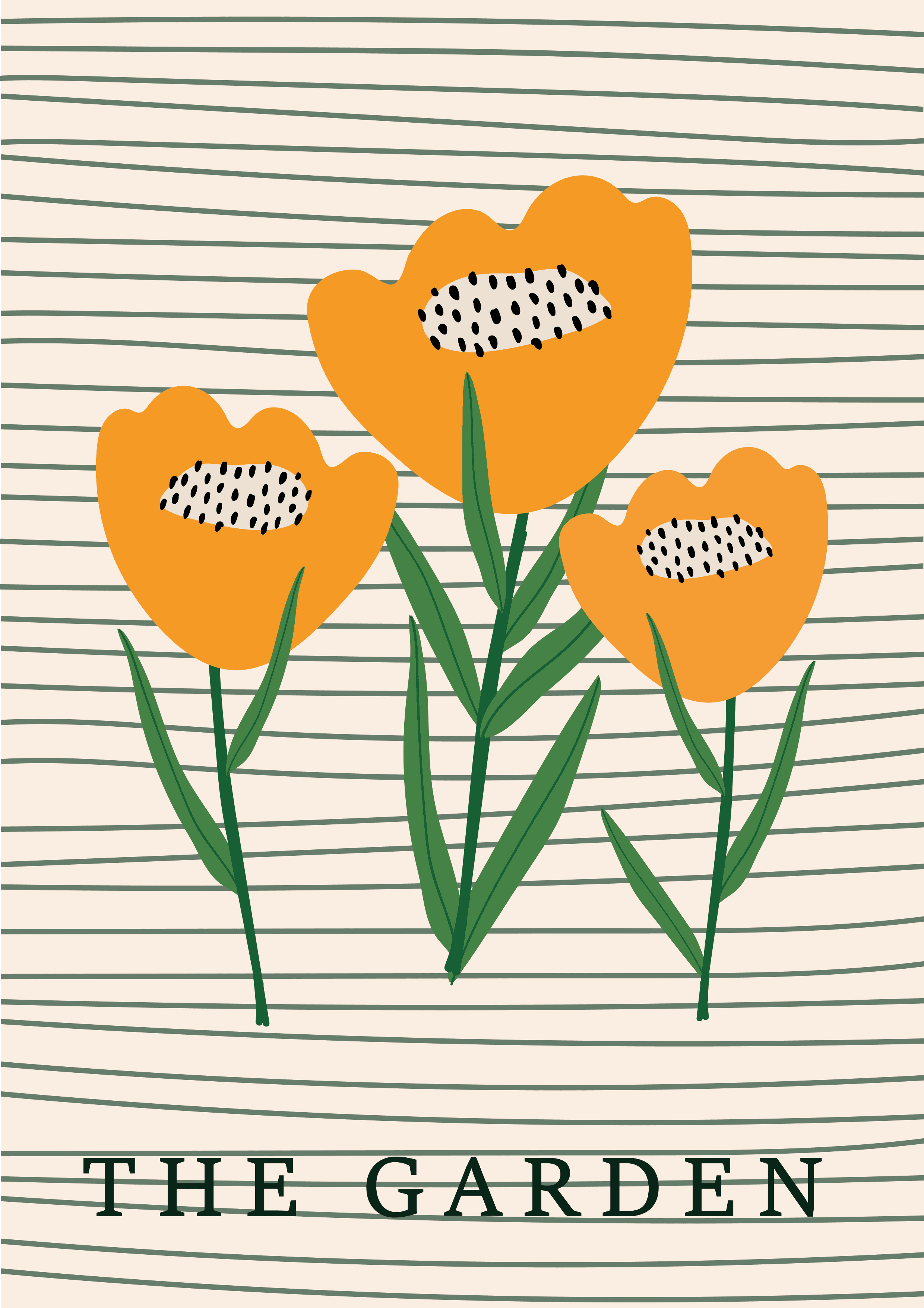 DISEÑO 50