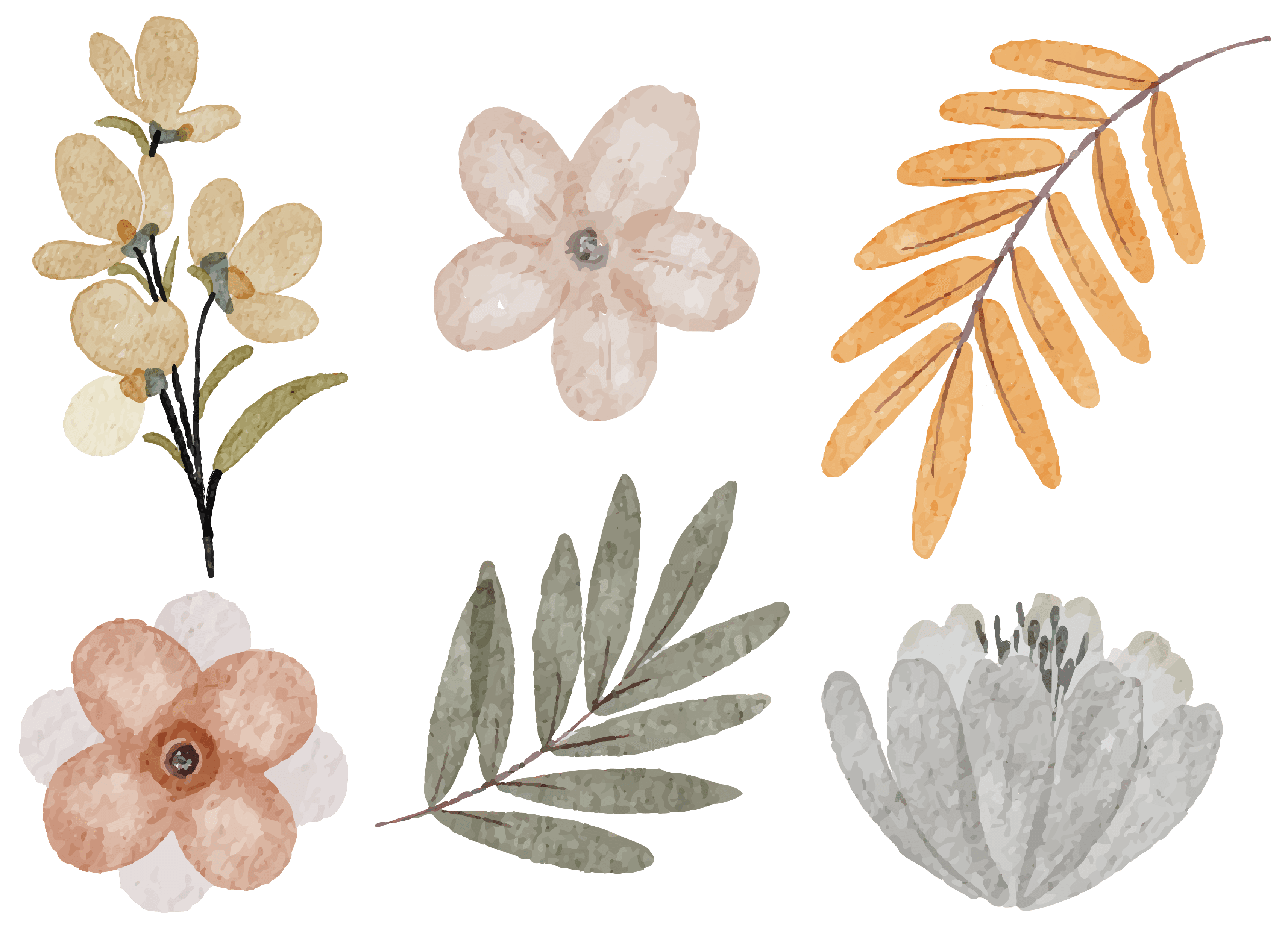 DISEÑO 35