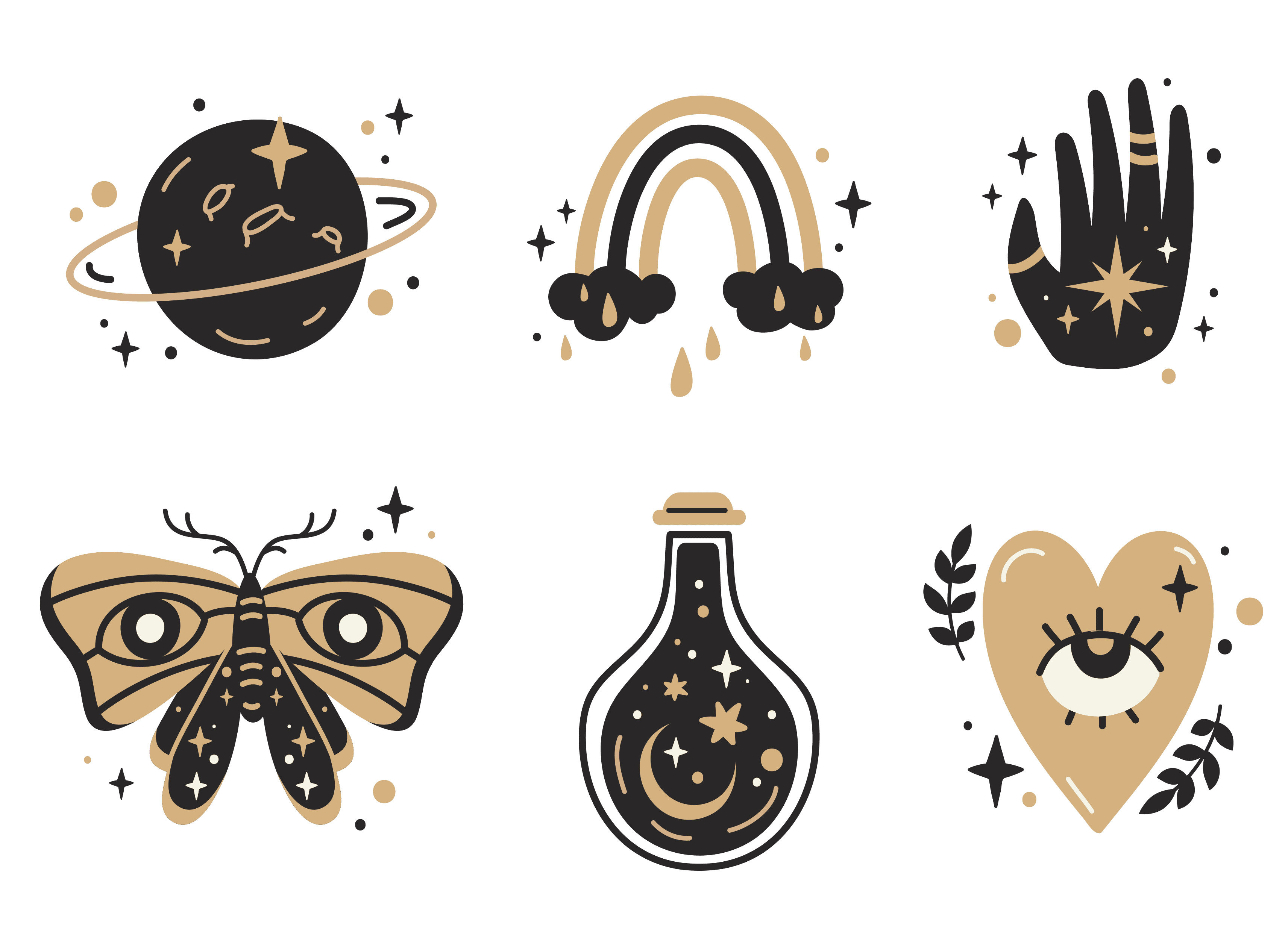 DISEÑO 41