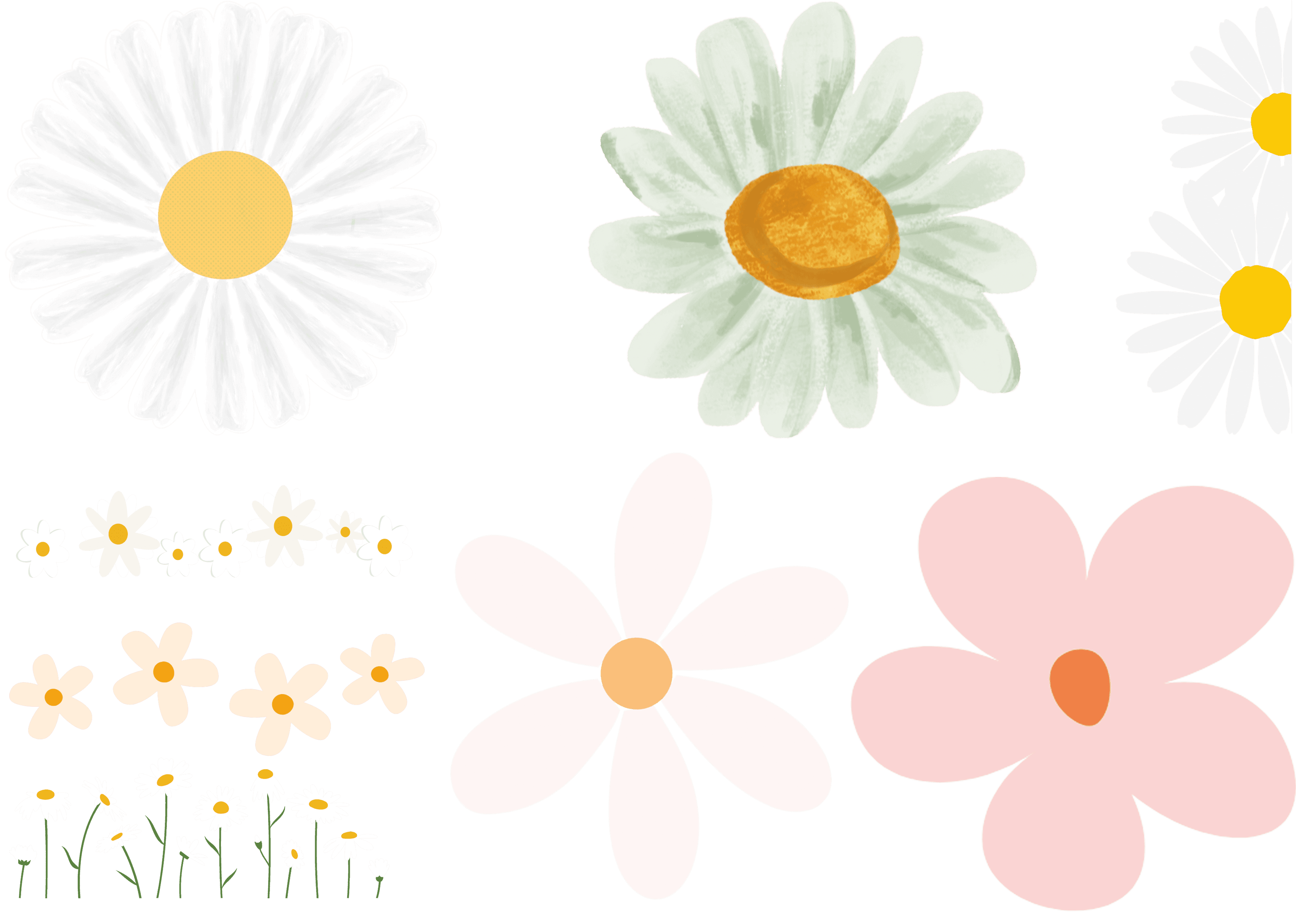 DISEÑO 59