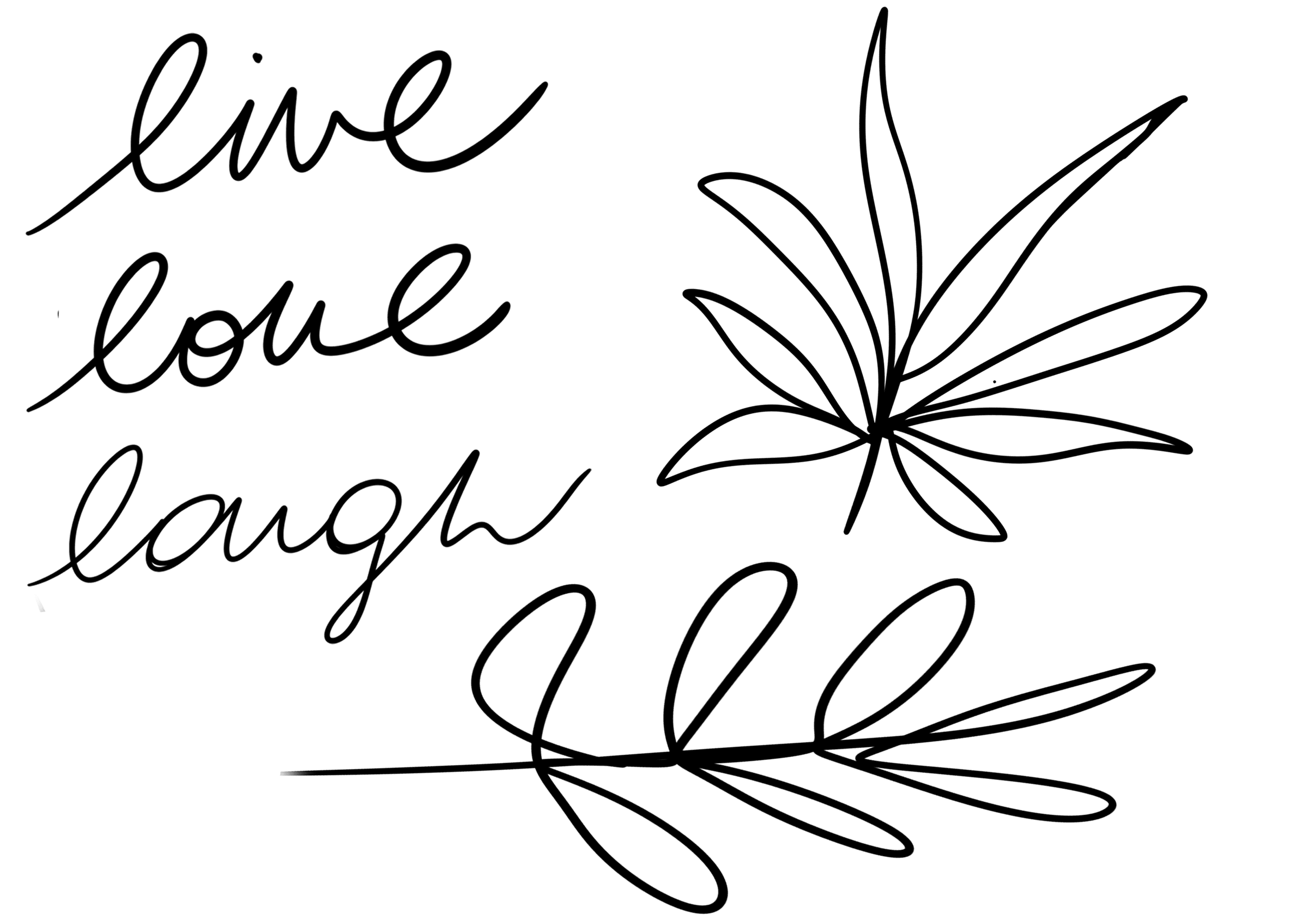 DECO 5