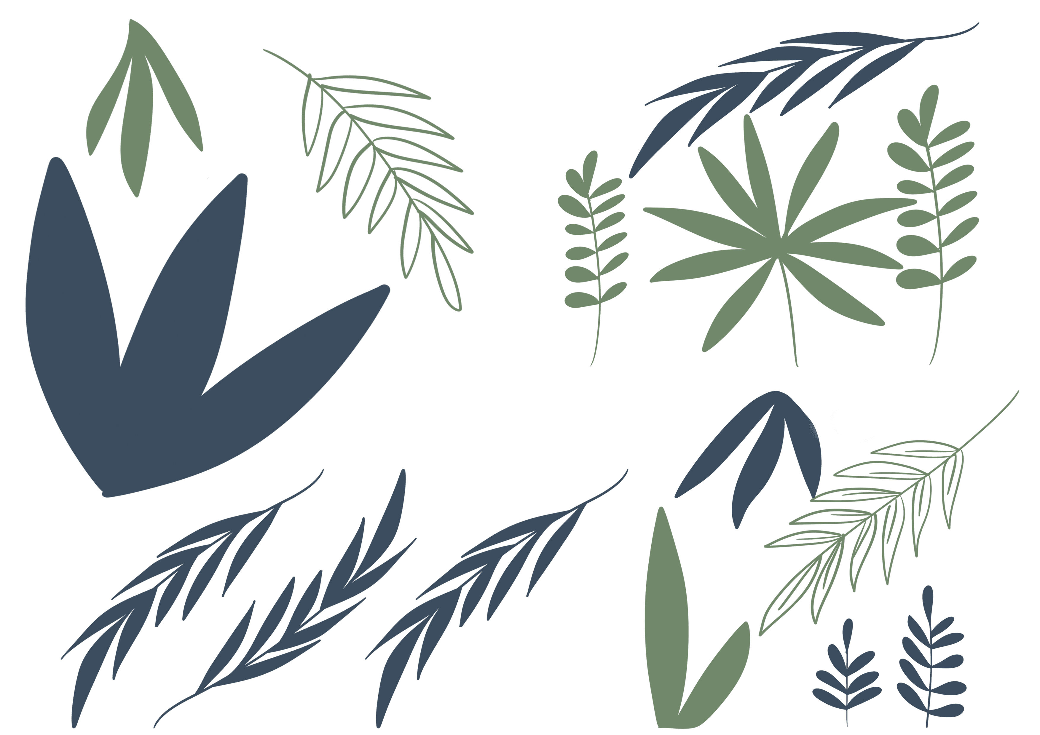 DECO 6