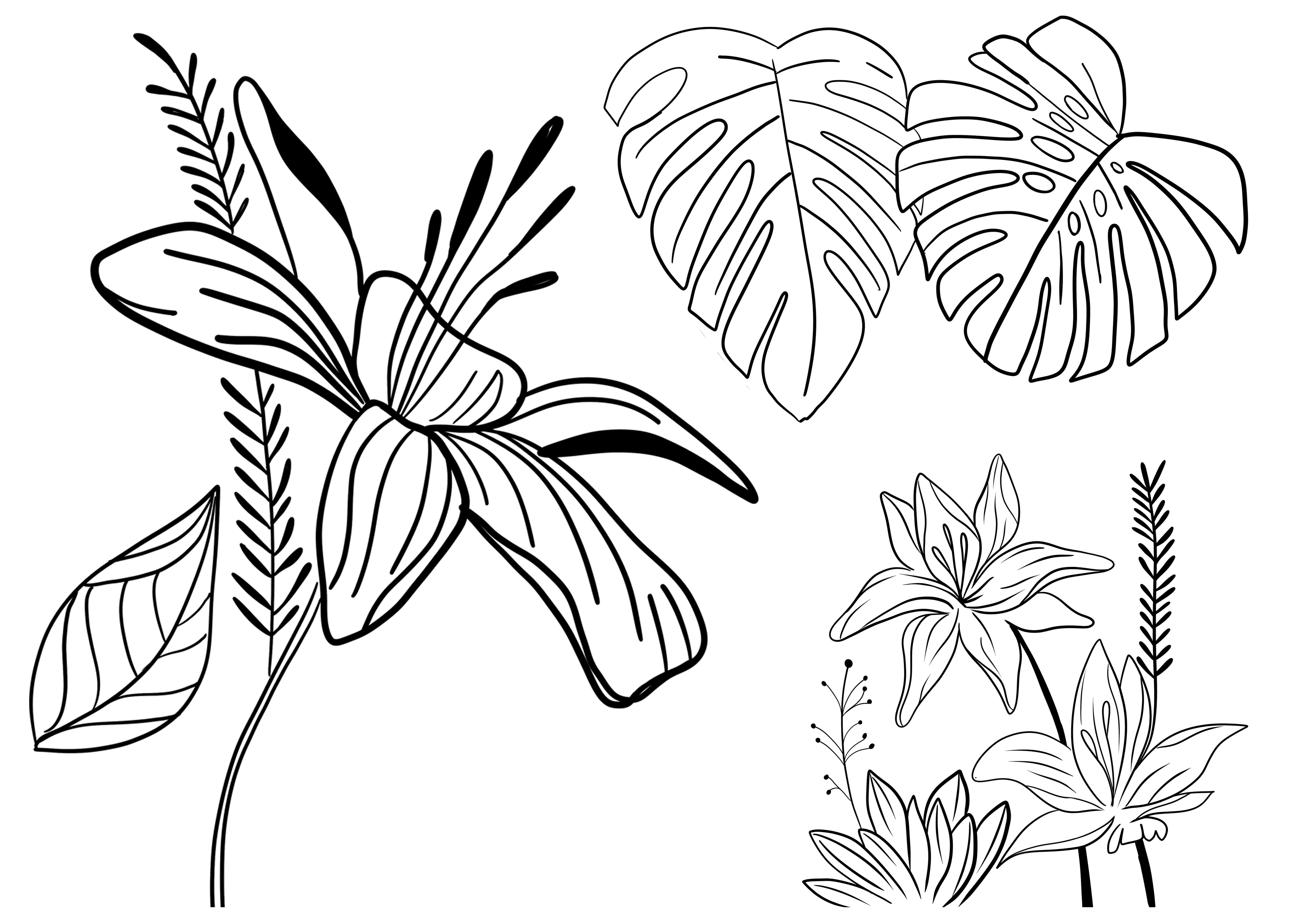 DECO 17