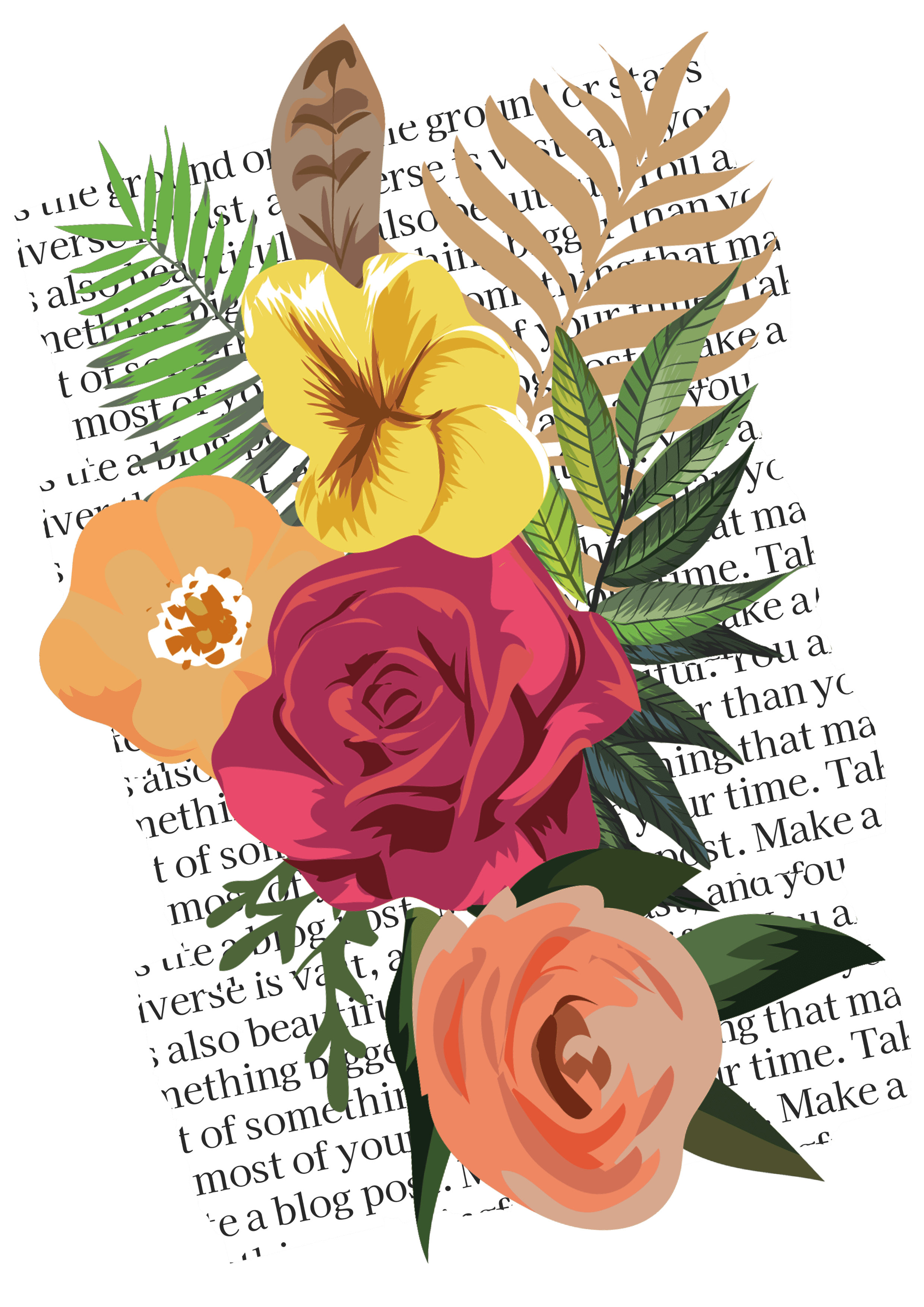 DISEÑO 43