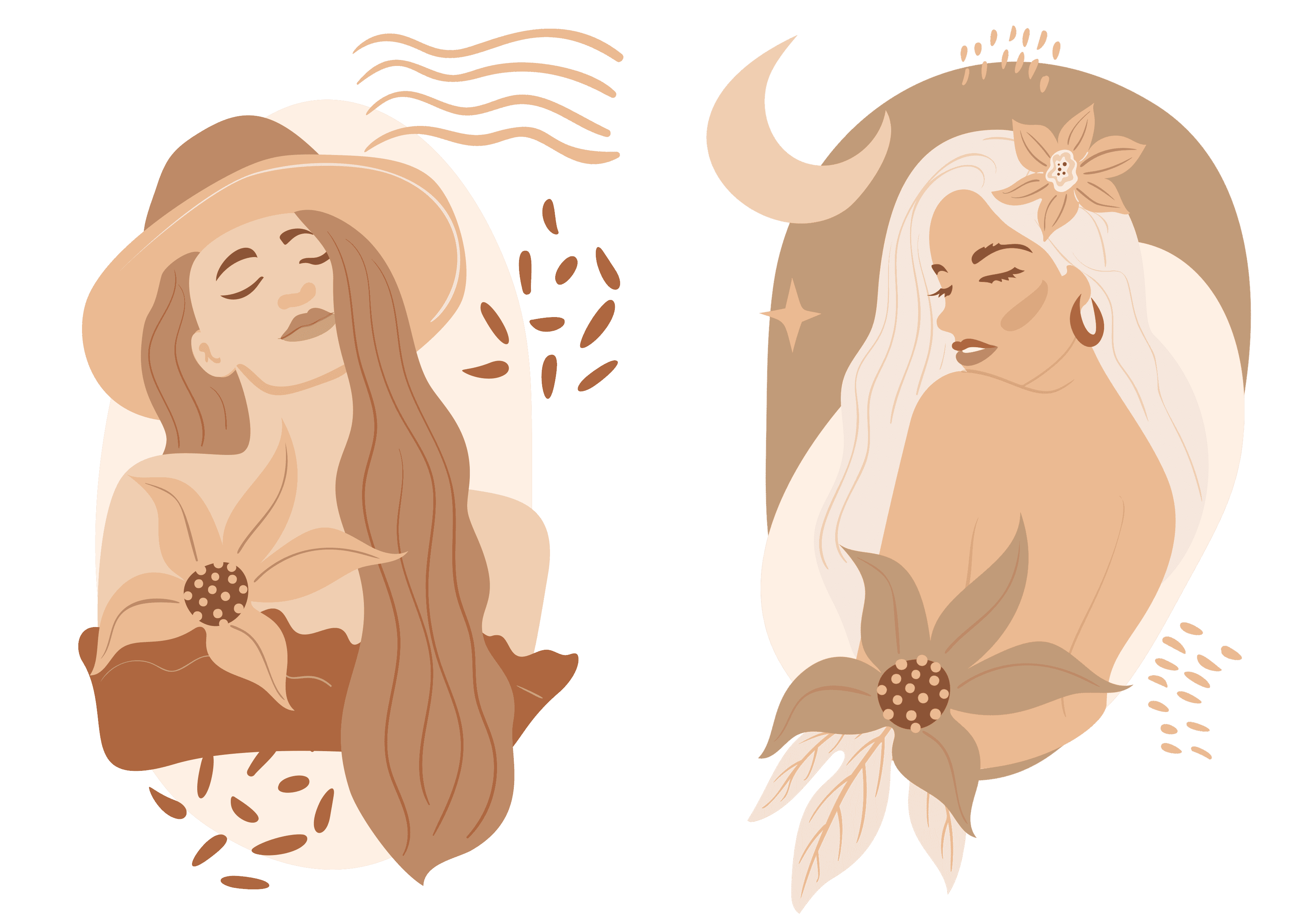 DISEÑO 55