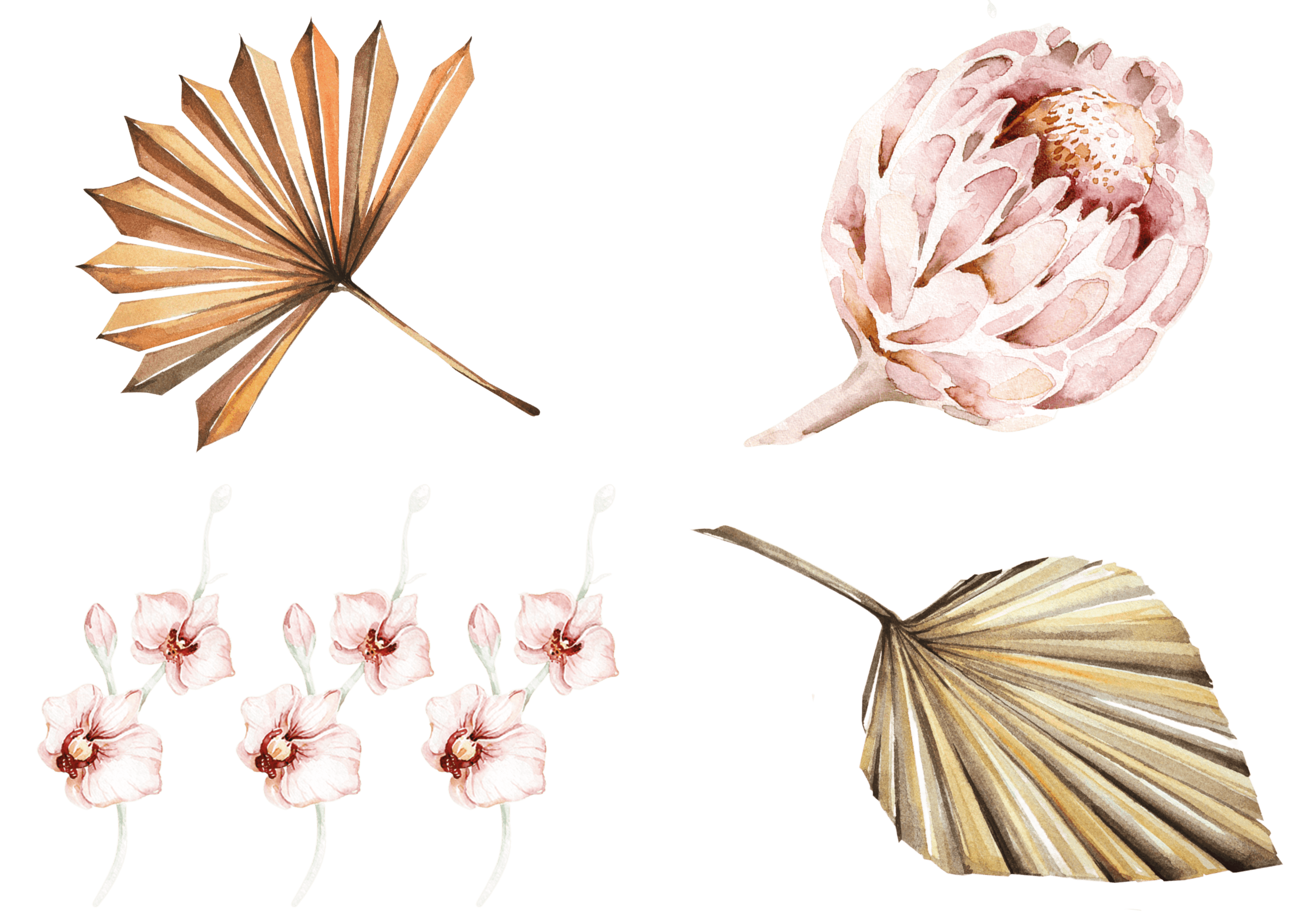 DECO 10