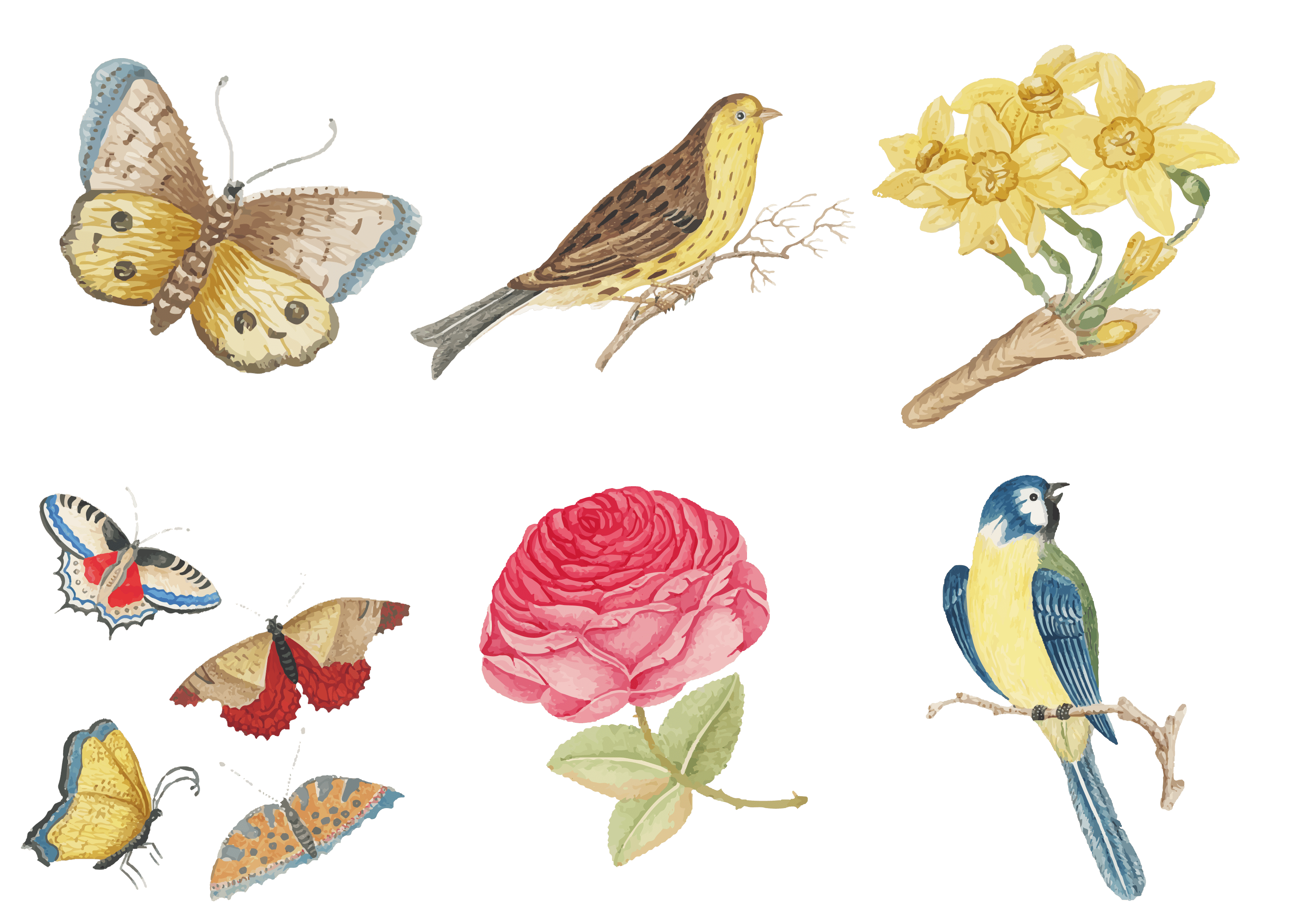 DECO 16